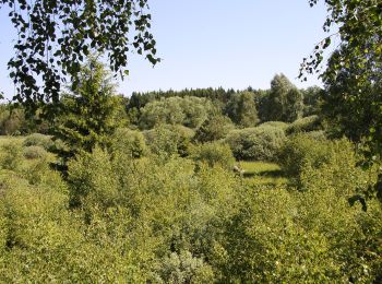 Tour Zu Fuß Slatina - Naučná stezka Okolím viklanu - Photo