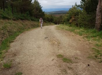 Randonnée Marche A Fonsagrada - Fonsagrada- Grandas de Salime - Photo