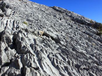 Tour Zu Fuß Flühli - Bodenhütten - Hengst - Photo