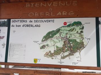 Trail Walking Oberlarg - Oberlarg - sa grotte - la ferme des Ebourbettes - le château de Morimont - Photo