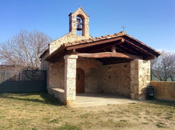 Tour Zu Fuß Cornellà del Terri - Cornellà de Terri, per la Plana de Sords i Pujals - Photo