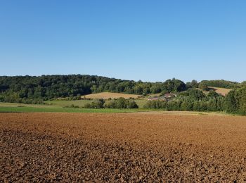 Tour Wandern Grandrû - la vallée des 3 monts - Photo