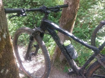 Tocht Mountainbike Hastière - Agimont 37km 740+ - Photo