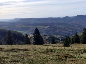 Trail Horseback riding Barembach - 2022-10-30 Journée Rothau Struthof Serva Perheux - Photo