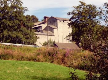 Tour Zu Fuß Wildflecken - Rhön Rundweg 4 - Photo