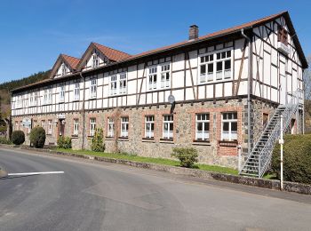 Percorso A piedi Biedenkopf - Reinhold-Fuhr-Weg - Photo