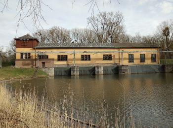 Randonnée A pied Germersheim - Rheinaue und Hochgestade - Photo