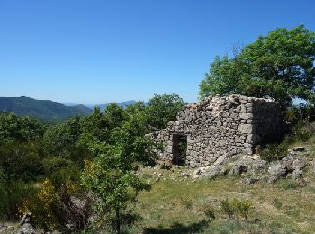 Randonnée Marche Colognac - Le col des Fosses et La Rouvrière au départ de Colognac - Photo