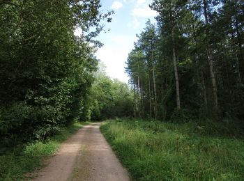 Tocht Te voet East Northamptonshire - Lyveden Way - Photo