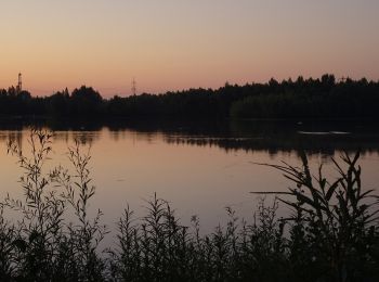 Tour Zu Fuß Pattensen - Koldinger-Seen-Weg - Photo