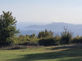 Tocht Stappen Tourrettes-sur-Loup - PUY GOURMES - Photo