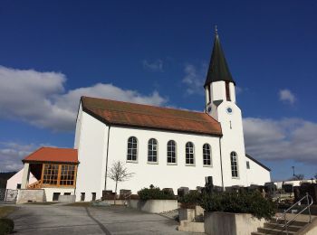 Tocht Te voet Etzenricht - Naabbergweg - Photo