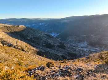 Tocht Stappen Gorges du Tarn Causses - Nissoulogre  - Photo