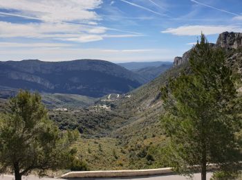 Excursión Senderismo Gémenos - Col de L'Espigoulier, col de Bretagne, Dents de Roque Forcade A/R - Photo