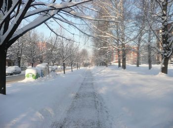 Tocht Te voet Goleszów - Przyroda nie zna granic / Přiroda nezná hranic - Photo