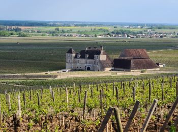 Percorso Marcia Vougeot - 06 05 22 Vougeot Chambolle Musigny - Photo