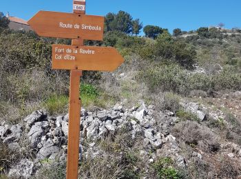 Randonnée Marche Èze - Fort de la Revere - Photo