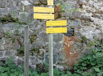 Percorso Marcia Saint-Alban-d'Hurtières - col du GD cucheron / les granges - Photo