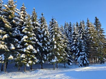 Excursión Esquí de fondo Les Hôpitaux-Vieux - Les Essarts - Photo