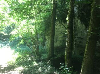 Tour Wandern Miribel-les-Échelles - Av Pascal  - Photo