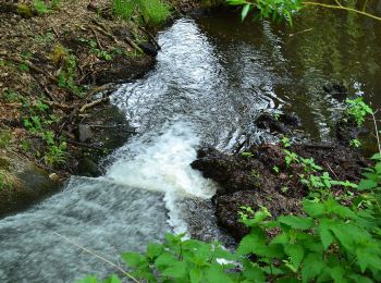 Randonnée A pied Obersteinbach - Sentier paysager passe-frontière n°1 - Photo