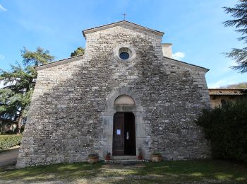 Excursión A pie Gaiole in Chianti - Trekking tra i castelli 10 - Photo