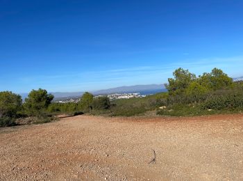 Percorso Mountainbike l'Escala - L’Escala - L’Estartit par Montgri - Photo