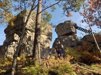 Randonnée Marche Saulcy-sur-Meurthe - massif kemberg - Photo