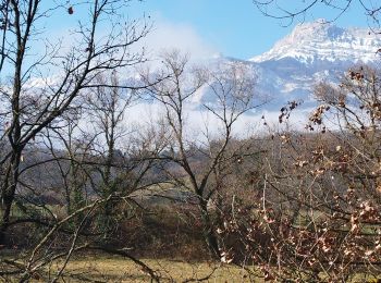 Tocht Stappen Varces-Allières-et-Risset - varce.  - Photo