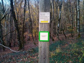 Percorso Marcia Braillans - Braillans Forêt de Chailluz - Photo