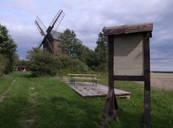 Tocht Te voet Wiesenburg/Mark - Kunstwanderweg Hoher Fläming - Photo