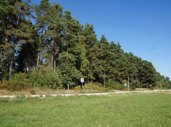 Randonnée A pied Neumarkt in der Oberpfalz - Lengenbachtalweg - Photo