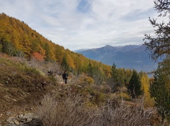 Excursión Senderismo Embrun - Mt Guillaume en boucle par Belvedere de la Para - Photo