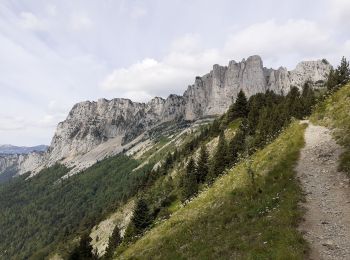 Excursión Senderismo Saint-Michel-les-Portes - Tour du Mont  Aiguille - Photo