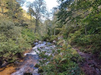 Trail Walking Luzenac - sauzay - Photo