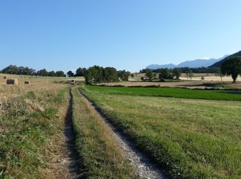 Excursión Bici de montaña Vif - barrage St Pierre de commiers - Photo