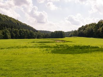 Trail On foot Lichtenau - Altenau-Wanderweg - Photo