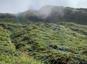 Tocht Trail Saint-Claude - Beausoleil  - Photo