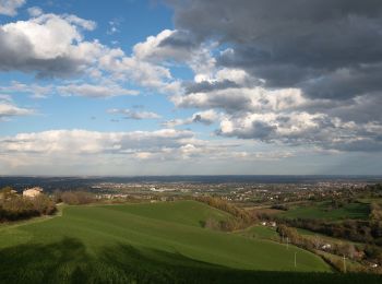 Tour Zu Fuß Albinea - Borzano - Ca' dei Duchi - Bellavista - Ca' del Vento - Giareto - Borzano - Photo