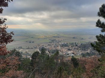 Tour Wandern Puy-Saint-Martin - Puy St Martin La Pigne-Saudon 8,5km - Photo