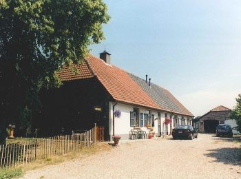 Tocht Te voet Hechtel-Eksel - Resterheide Groene rechthoek - Photo