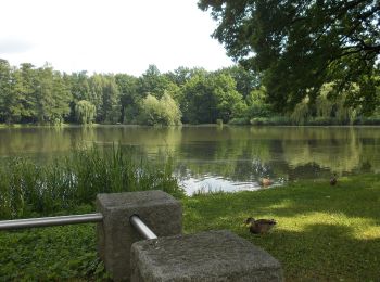 Tocht Te voet Olbersdorf - LG-Tagebau-Lehrpfad - Photo