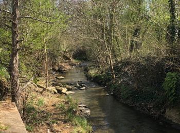 Randonnée Vélo Thionville - En suivant le ruisseau Metzange de Volkrange au Parc Napoléon. - Photo