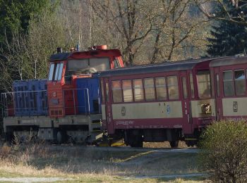 Tour Zu Fuß Eule - [M] Luka pod Medníkem - Těptín - Photo