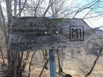 Trail On foot Lecco - Antica Strada Comunale di Morterone - Photo