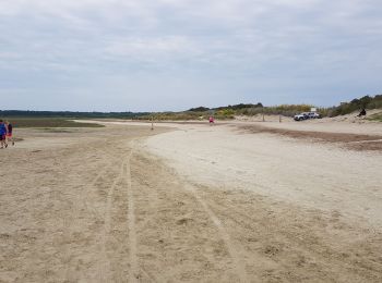 Tocht Stappen Le Crotoy - le crotoy, pointe à guille par la plage - Photo