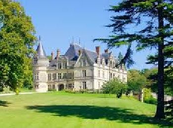 Excursión Senderismo Montlouis-sur-Loire - Montlouis-Bourdaisière - Photo