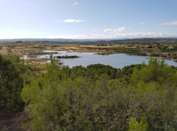 Randonnée Marche Argens-Minervois - Argens - Photo