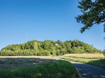 Excursión A pie Hollfeld - Kuckuckswege rund um Busbach Nr. 4 - Photo