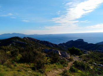 Percorso Mountainbike Le Rove - Le Resquilladou-Fort de Niaulon Haut - Fort de Figuerolles - Photo